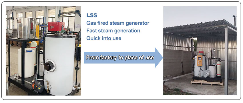 300kg-Gas-Type-Steam-Generator-for-Hotel-Spa-Center.jpg