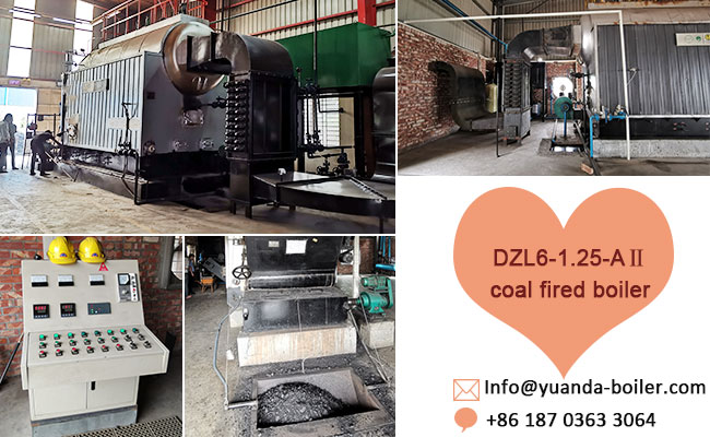 6ton-coal-boiler-for-garment-company.jpg