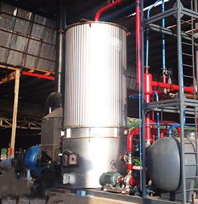 Hand-feeding Type Fixed Grate Vertical Wood Fired Thermal Oil Boiler for Rubber Matting