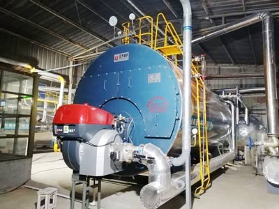 case-10-ton-paper-mill-gas-boiler.jpg