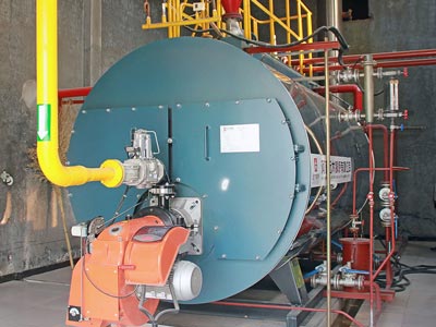 case-4-ton-gas-fired-steam-boiler-for-brewery-winery-in-Cambodia.jpg