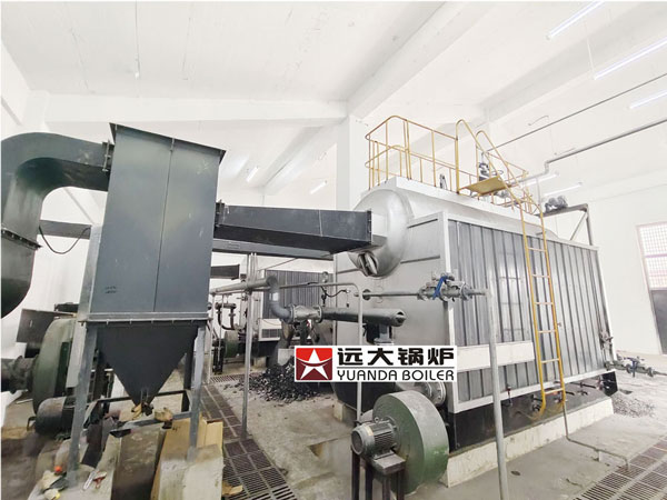 dzl-boiler-coal-hot-water-boiler-2.jpg