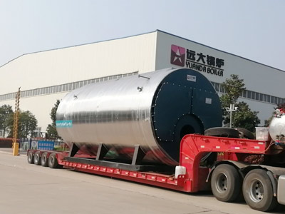wns20-natural-gas-steam-boiler-to-Indonesia.jpg