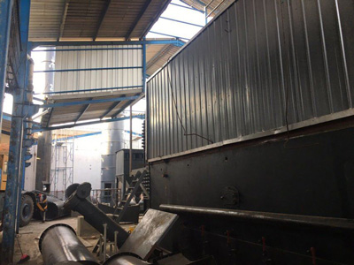 12 ton wood fired steam boiler